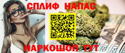 шишки Конаково
