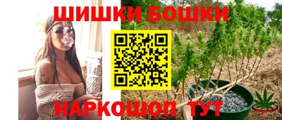 шишки Конаково